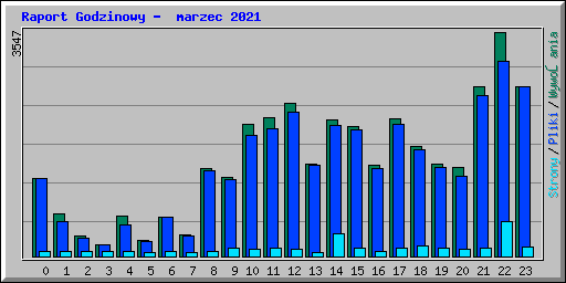 Raport Godzinowy -  marzec 2021